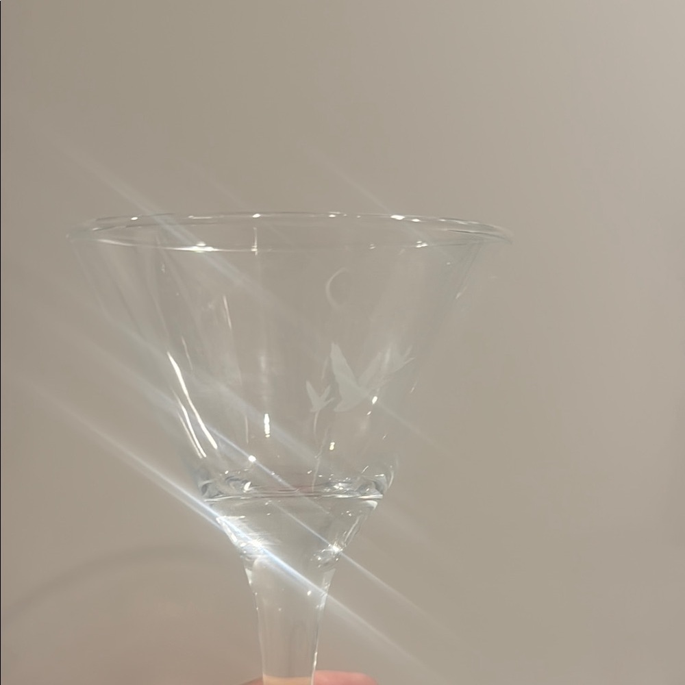 Elegant Clear Grey Goose Martini Glass